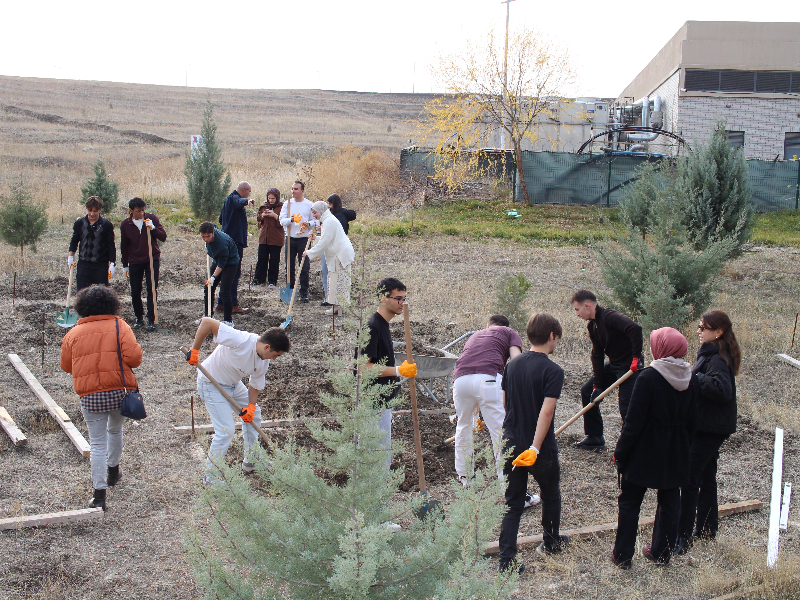 Brıck'ed Workshop - Constructıon, Foundatıon Phase